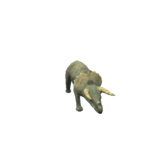 Triceratops_walk Variant